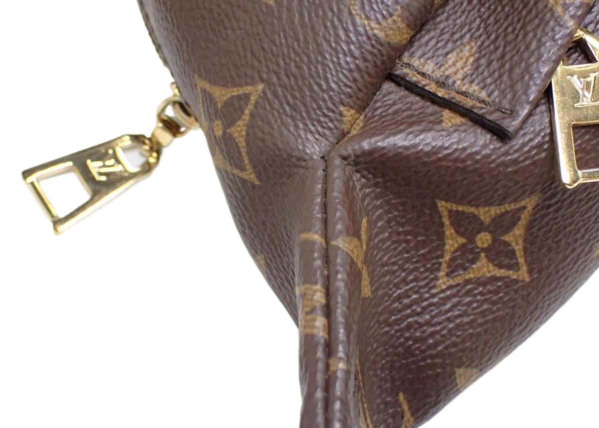 Louis Vuitton BumBag Monogram 2805