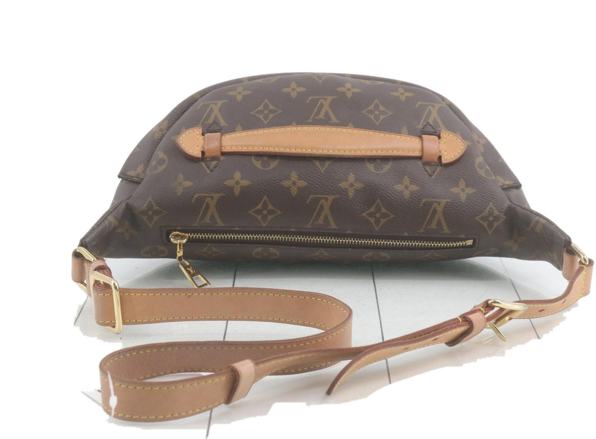 Louis Vuitton Bumbag Monogram 3499