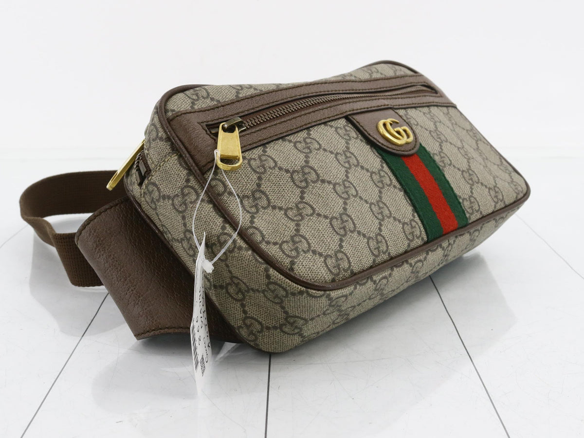 Gucci Ophidia Belt Bag Waist Bag 3160