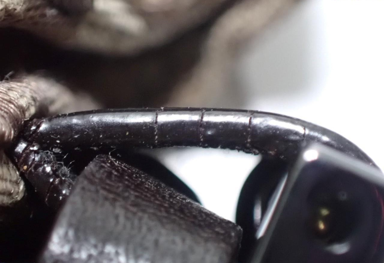 Fendi Zucchino Baguette Beige 2804