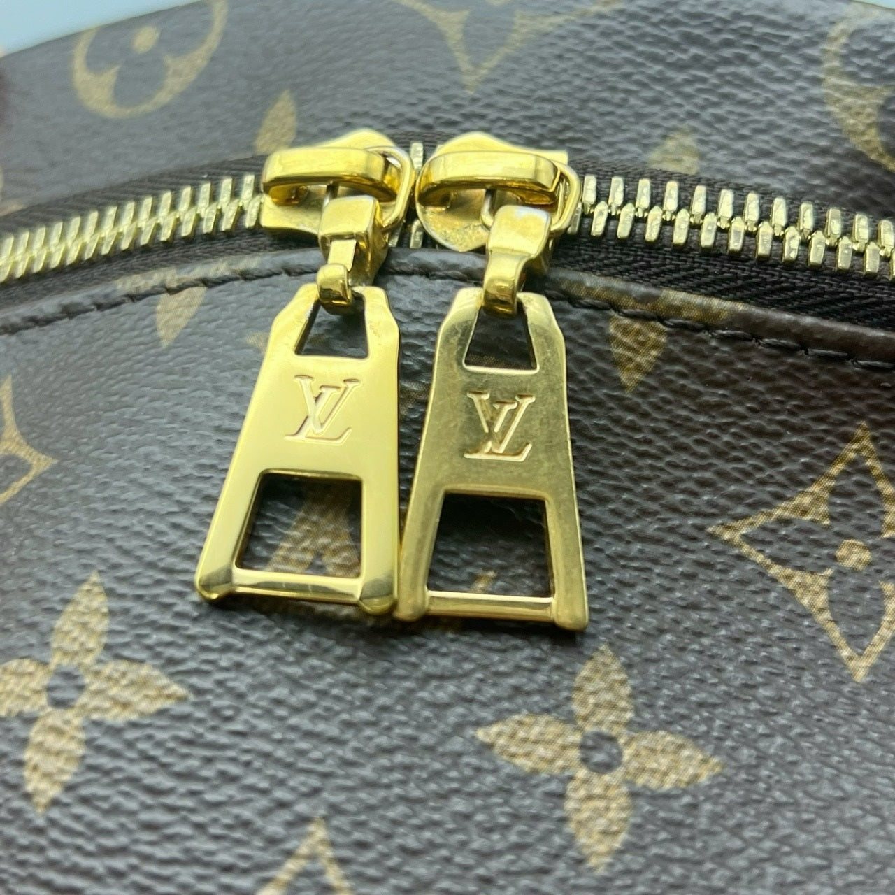 Louis Vuitton BumBag Monogram 2805