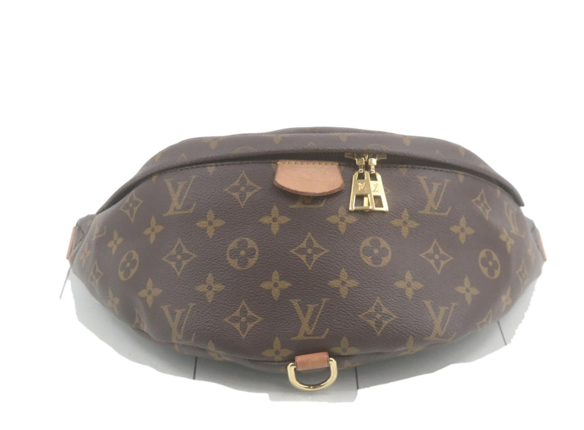 Louis Vuitton Bumbag Monogram 3499