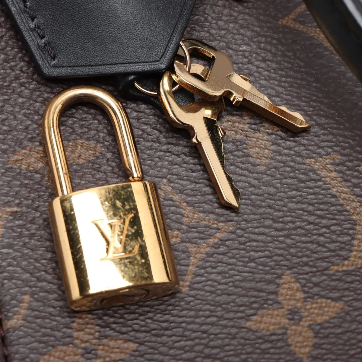 Louis Vuitton Flower Tote Monogram 3198