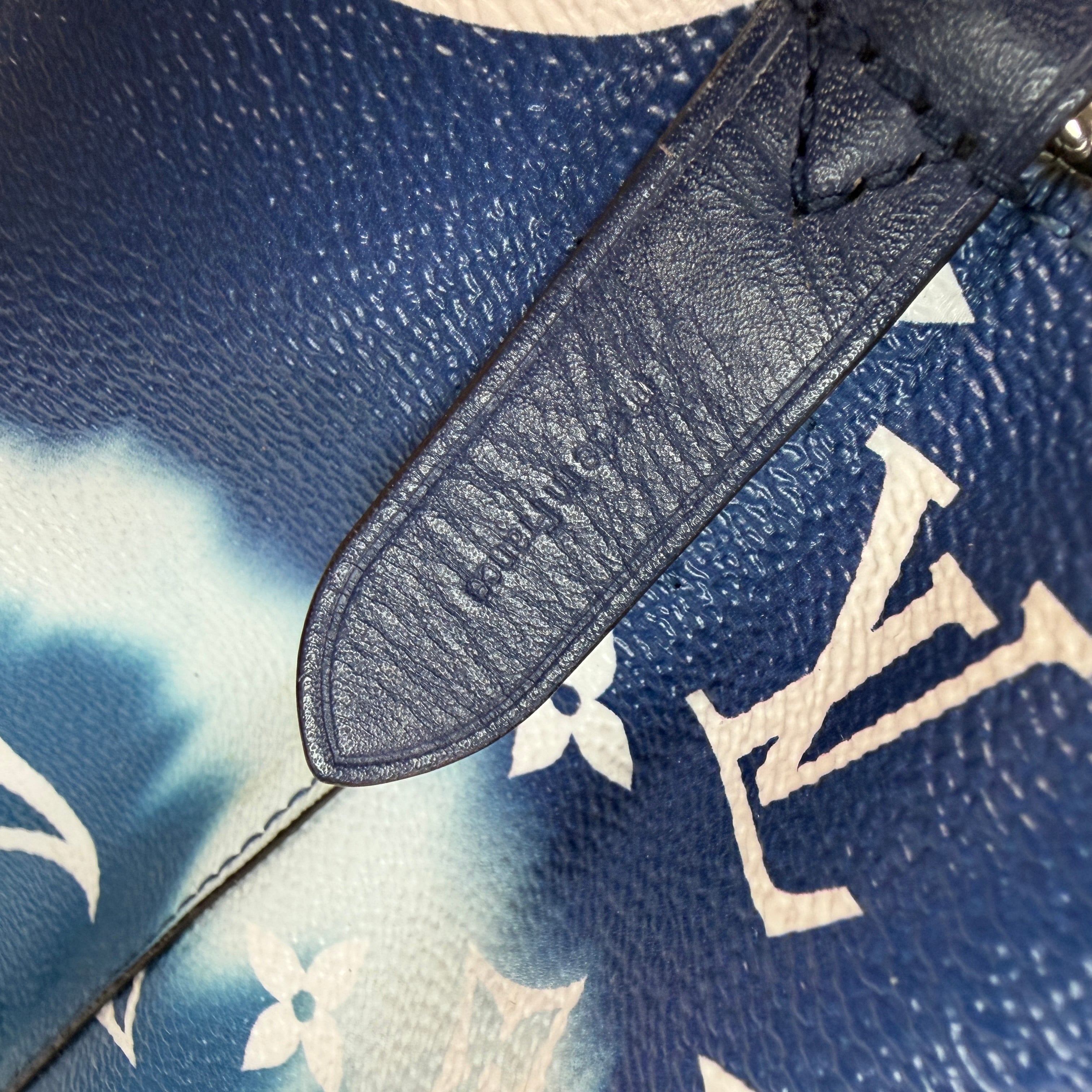 Louis Vuitton NeoNoe MM Blue Escale 3033