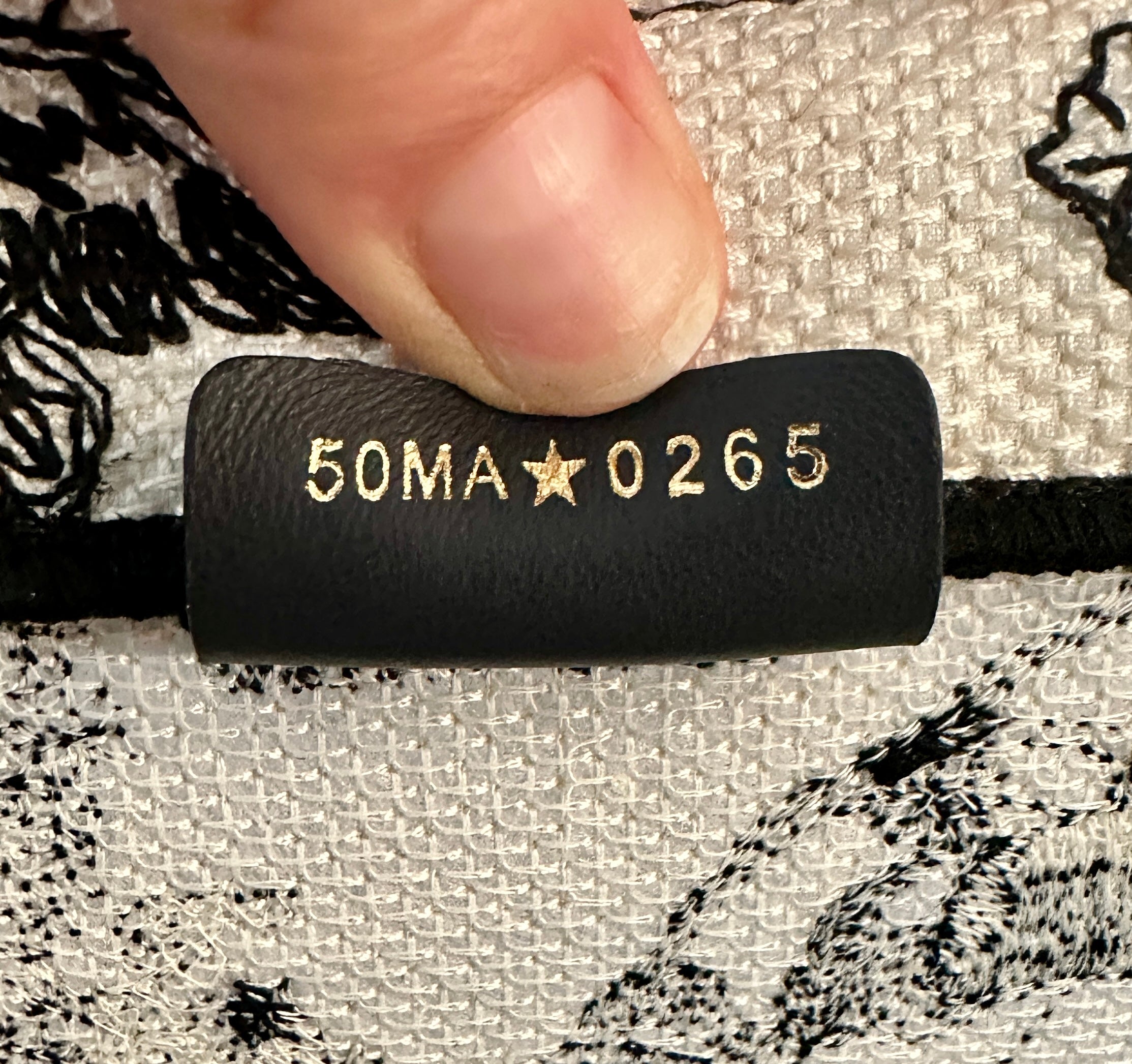 Dior Medium Book Tote Zodiac Embroidery Latte Black