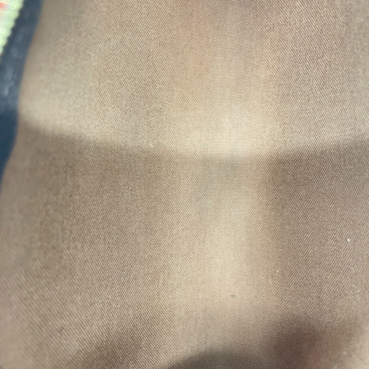 Louis Vuitton Eva Monogram 3019