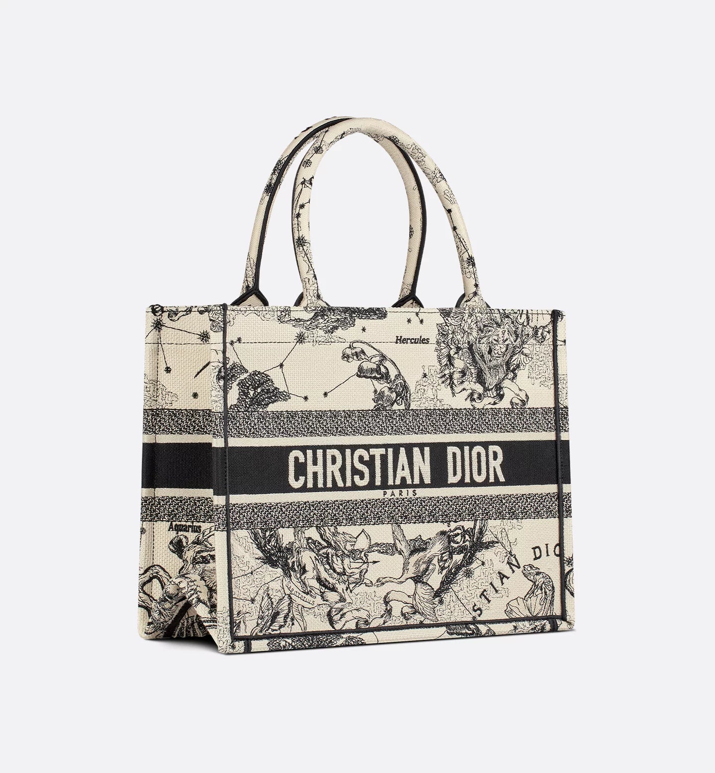 Dior Medium Book Tote Zodiac Embroidery Latte Black