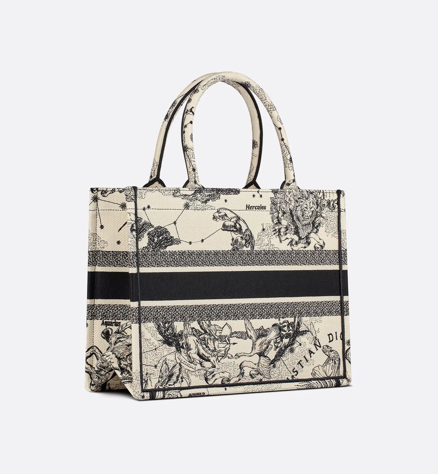 Dior Medium Book Tote Zodiac Embroidery Latte Black