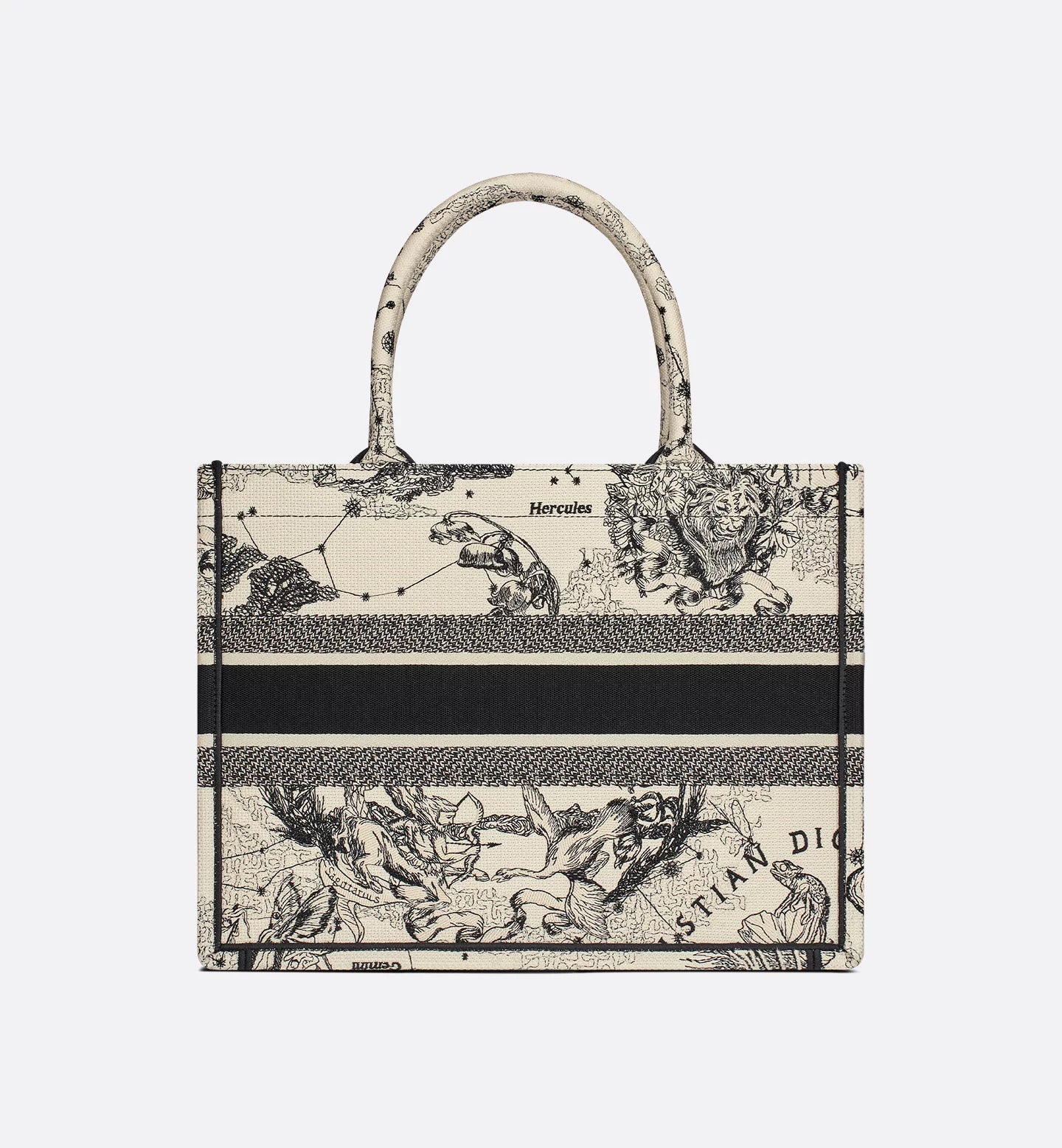 Dior Medium Book Tote Zodiac Embroidery Latte Black