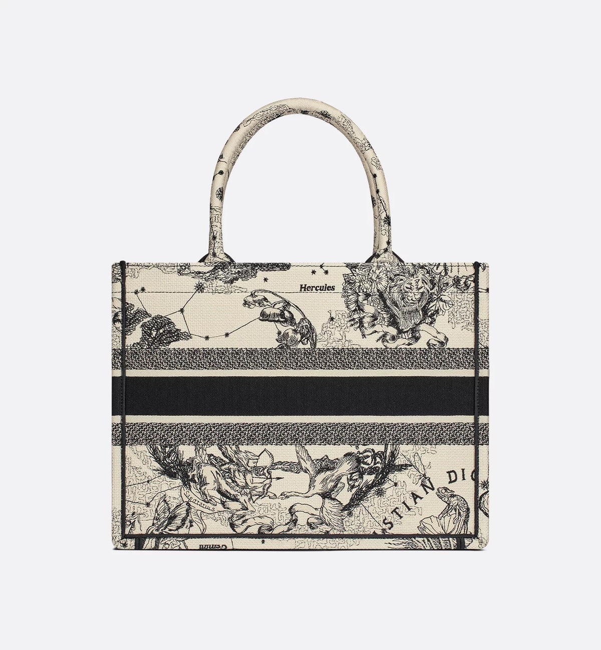 Dior Medium Book Tote Zodiac Embroidery Latte Black