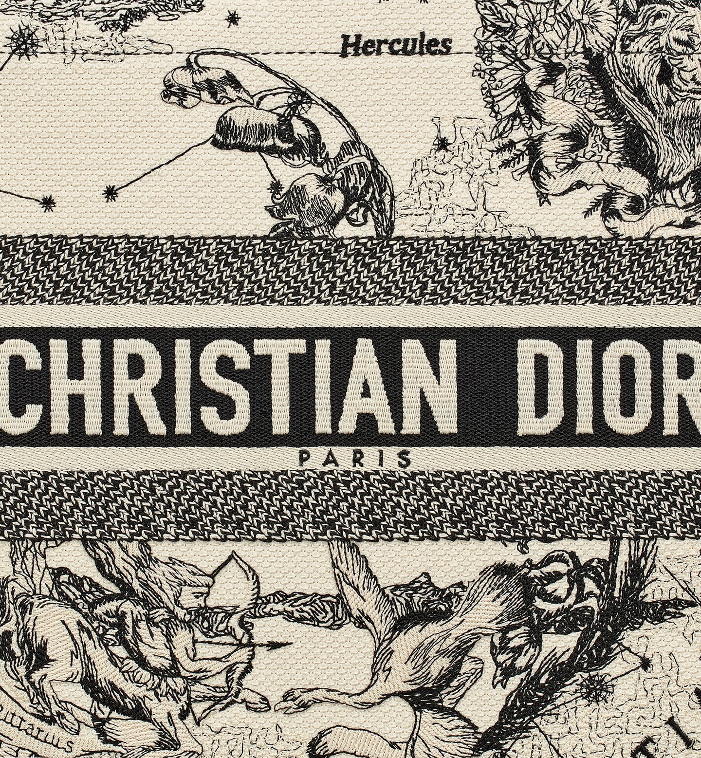 Dior Medium Book Tote Zodiac Embroidery Latte Black